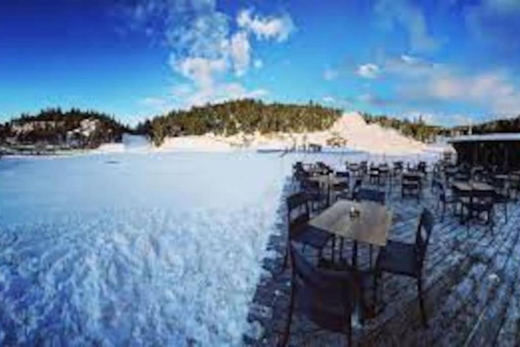 T2 Pour 4 Pers Style Chalet Pied Des Pistes Bolquere Экстерьер фото